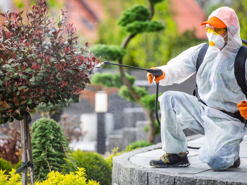 Bozdoğan Haşere İlaçlama