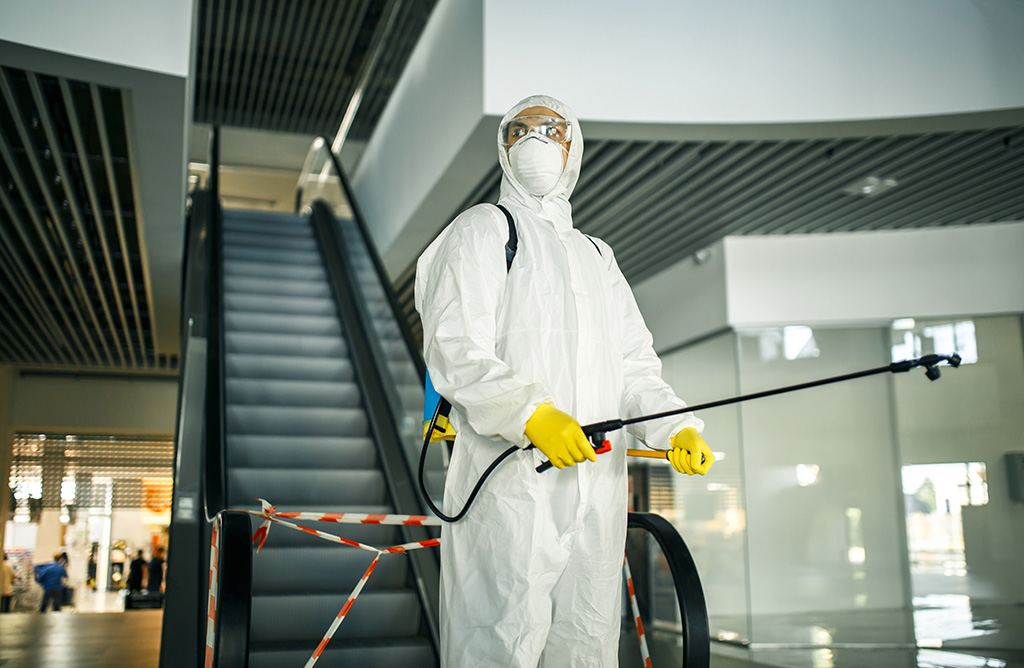 Bozdoğan Haşere İlaçlama